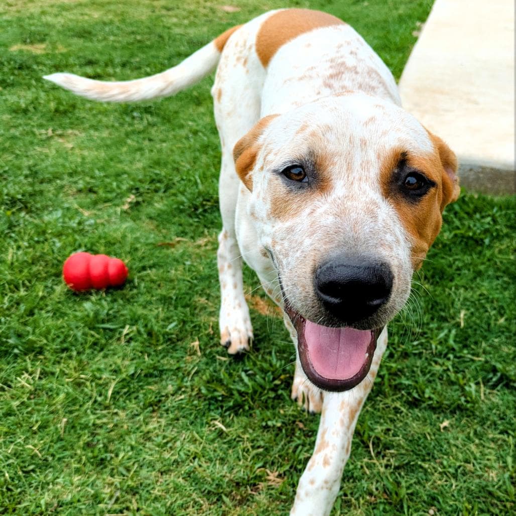 Sheldon Duke (New Digs)