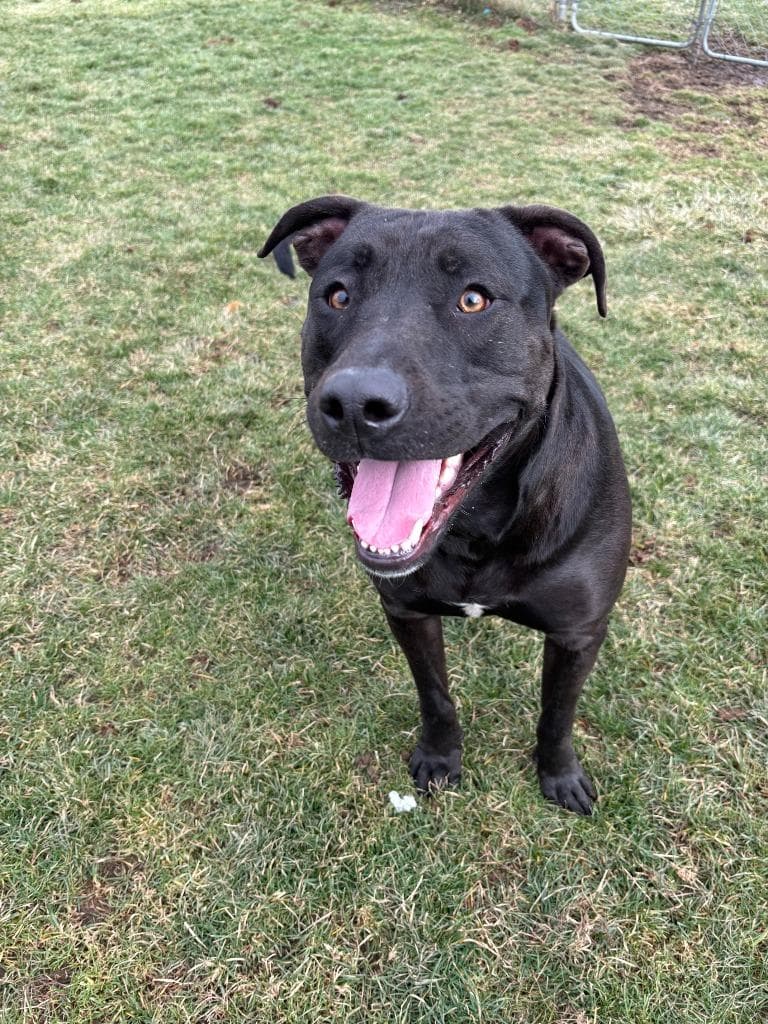 Jamie