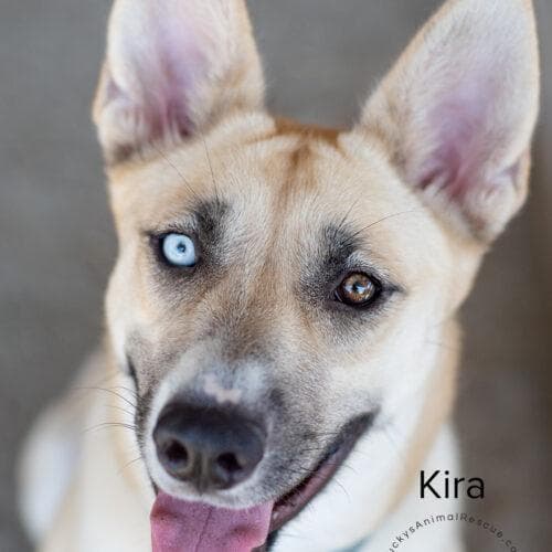 Kira