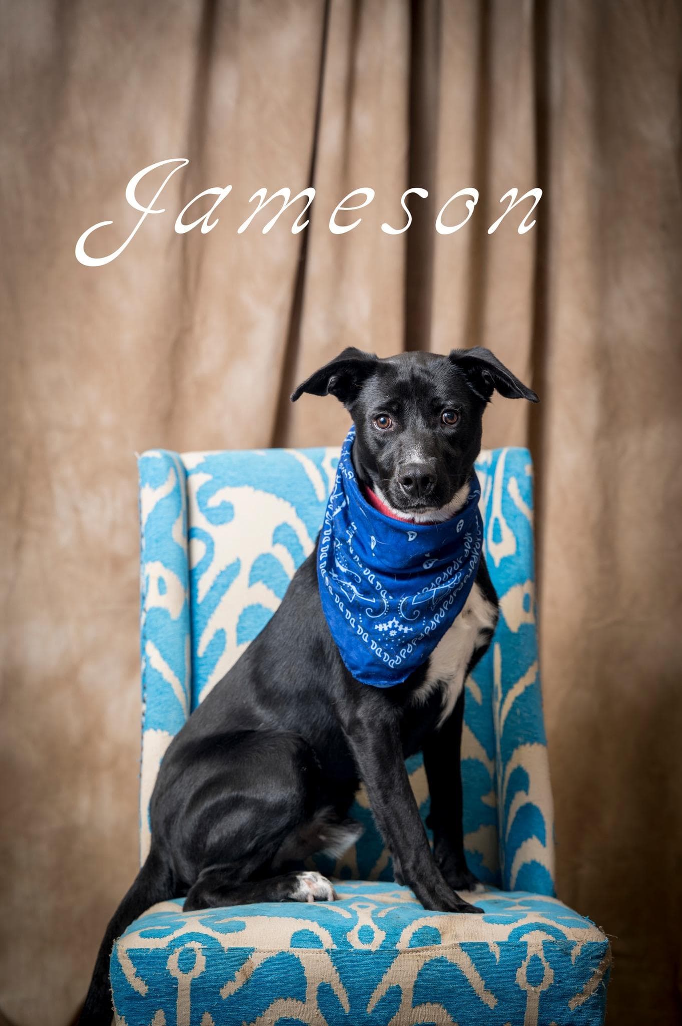 Jameson