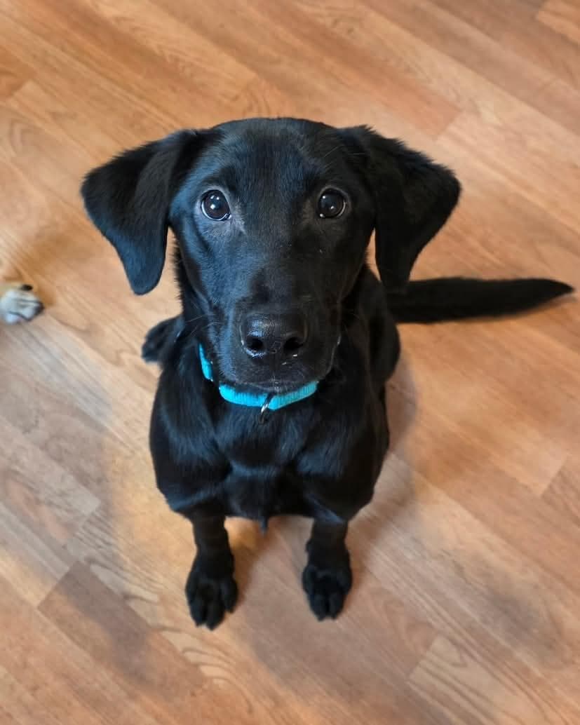 Zoe