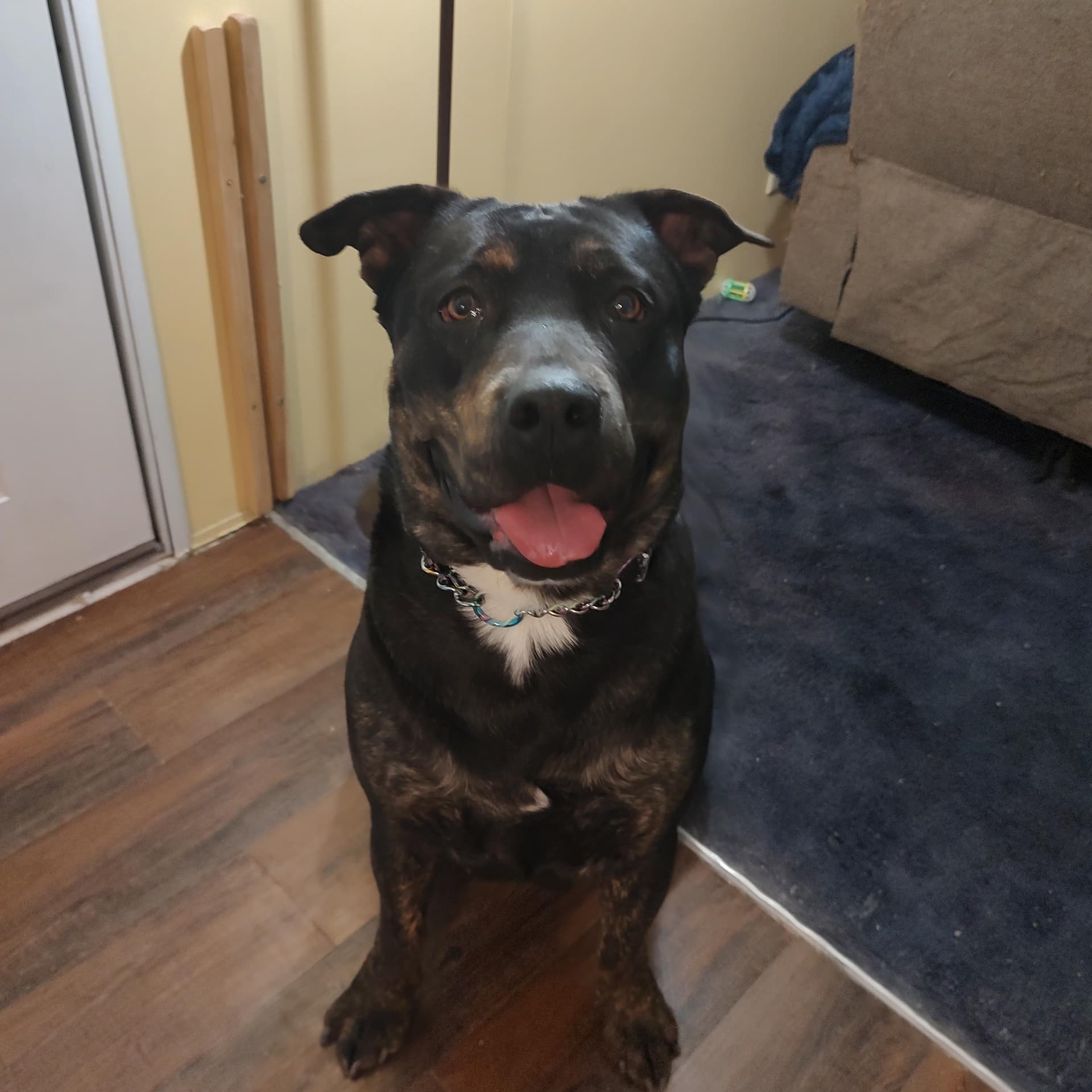 Daisy Mae