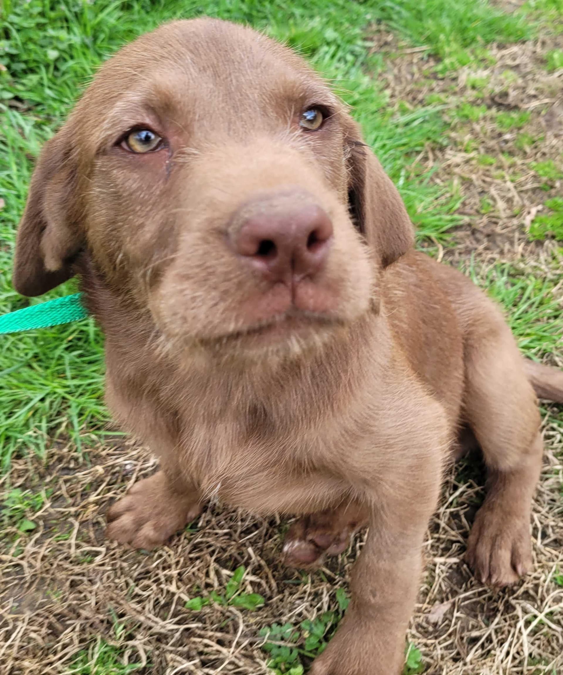 Barnaby #3