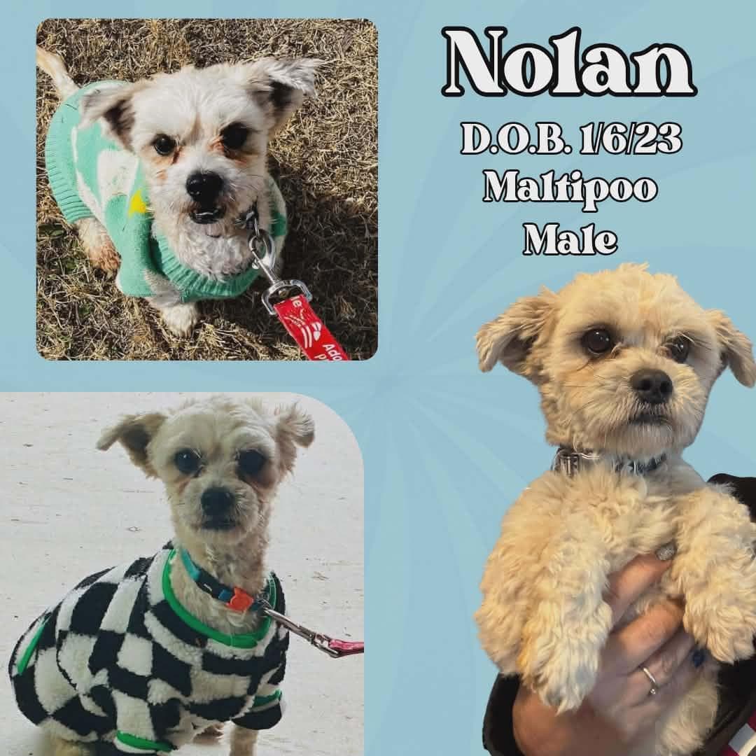 Nolan