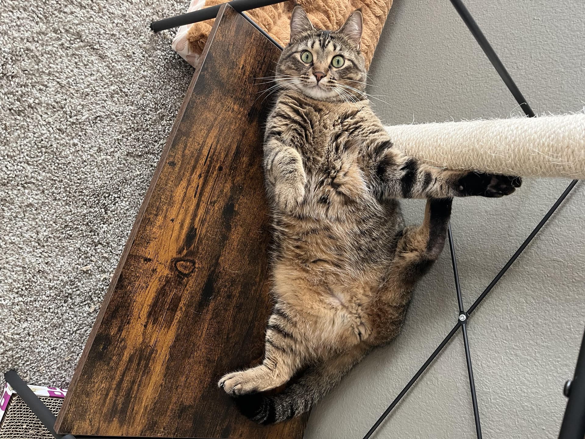 Franklin