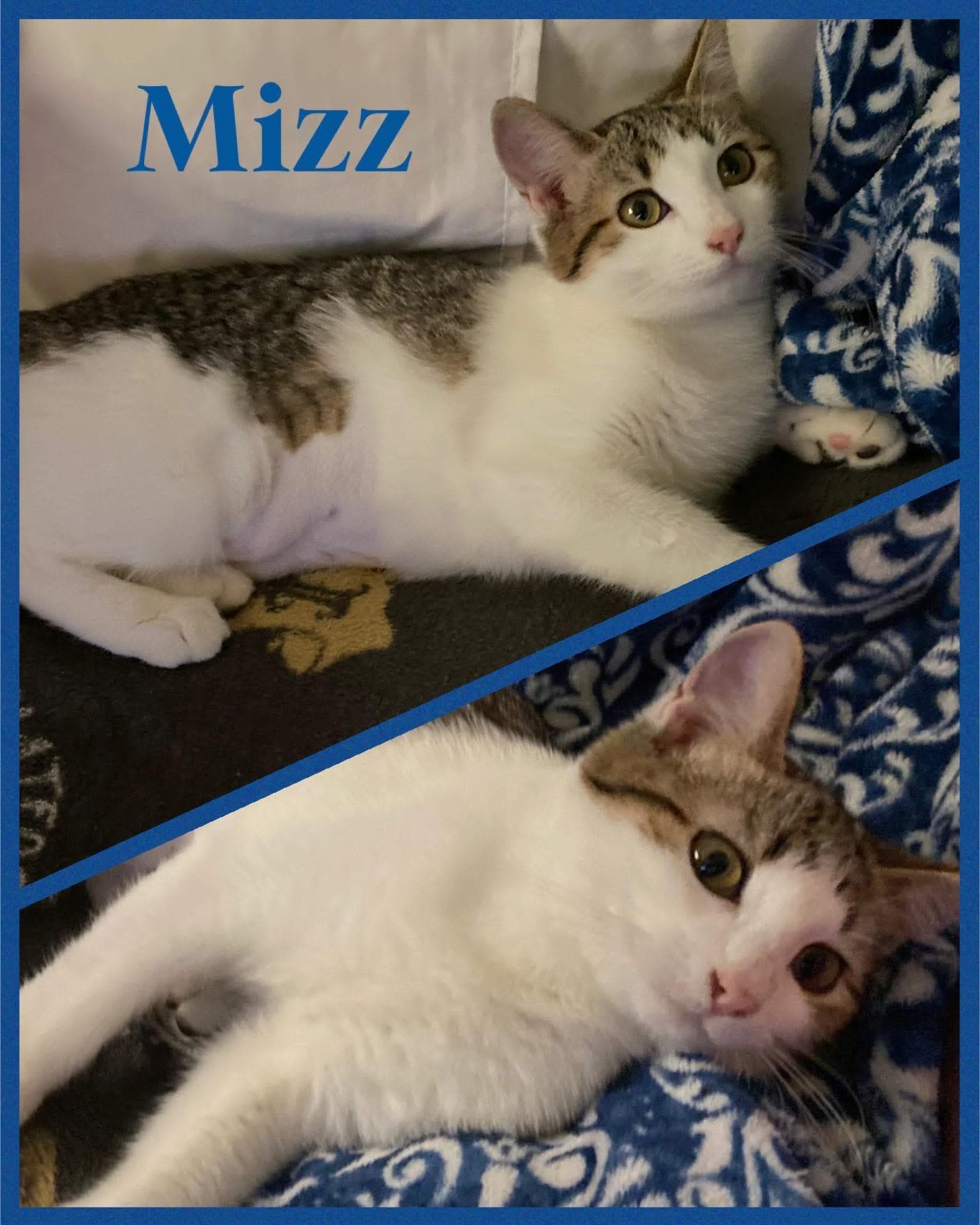Mizz