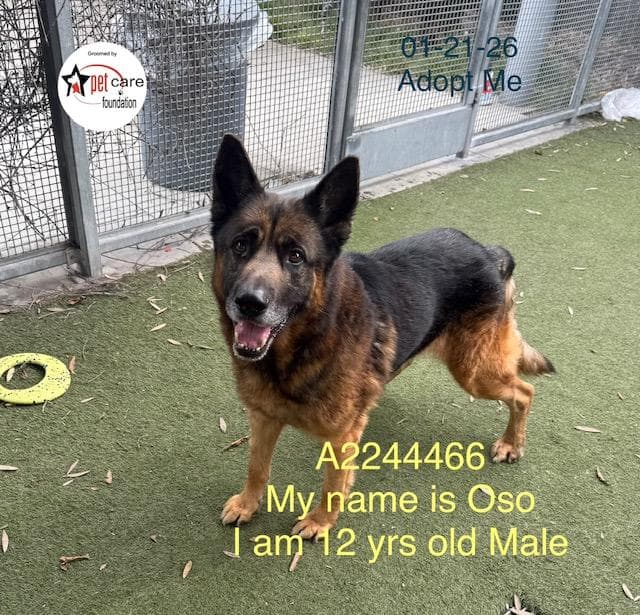 OSO