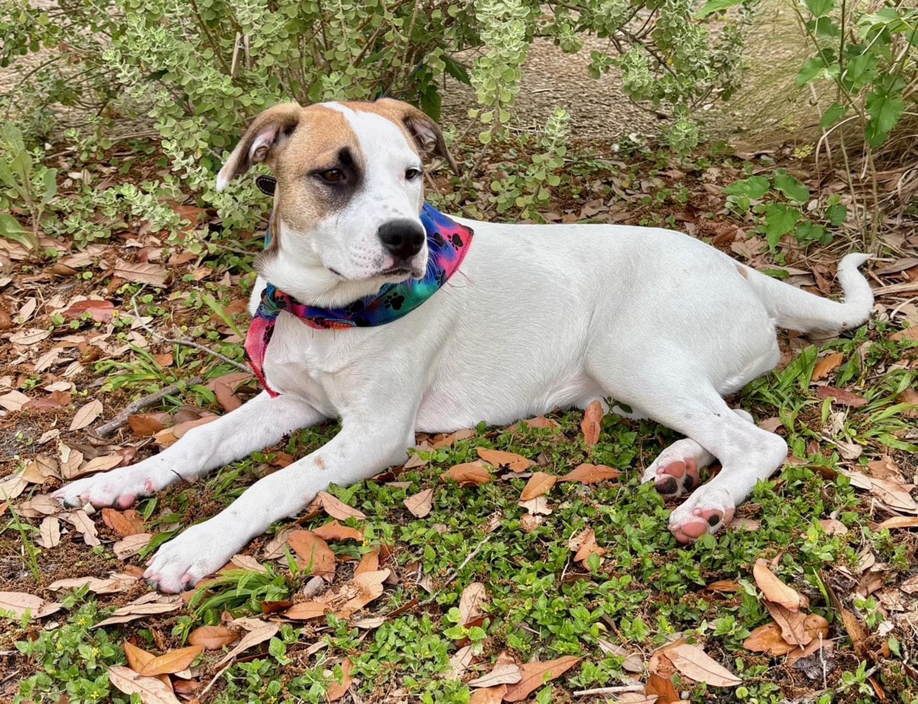 GINNY - GORGEOUS GIRL - SEE VIDEO!