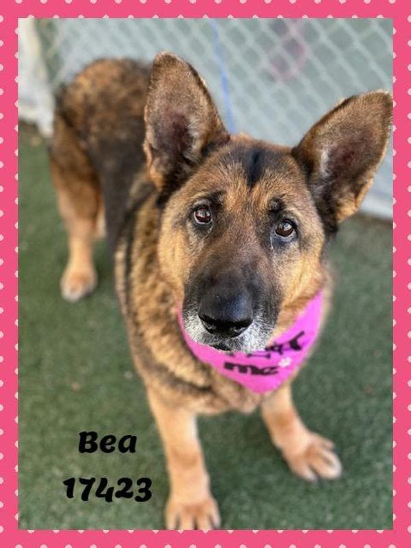 Bea(bay-Ah) (834)