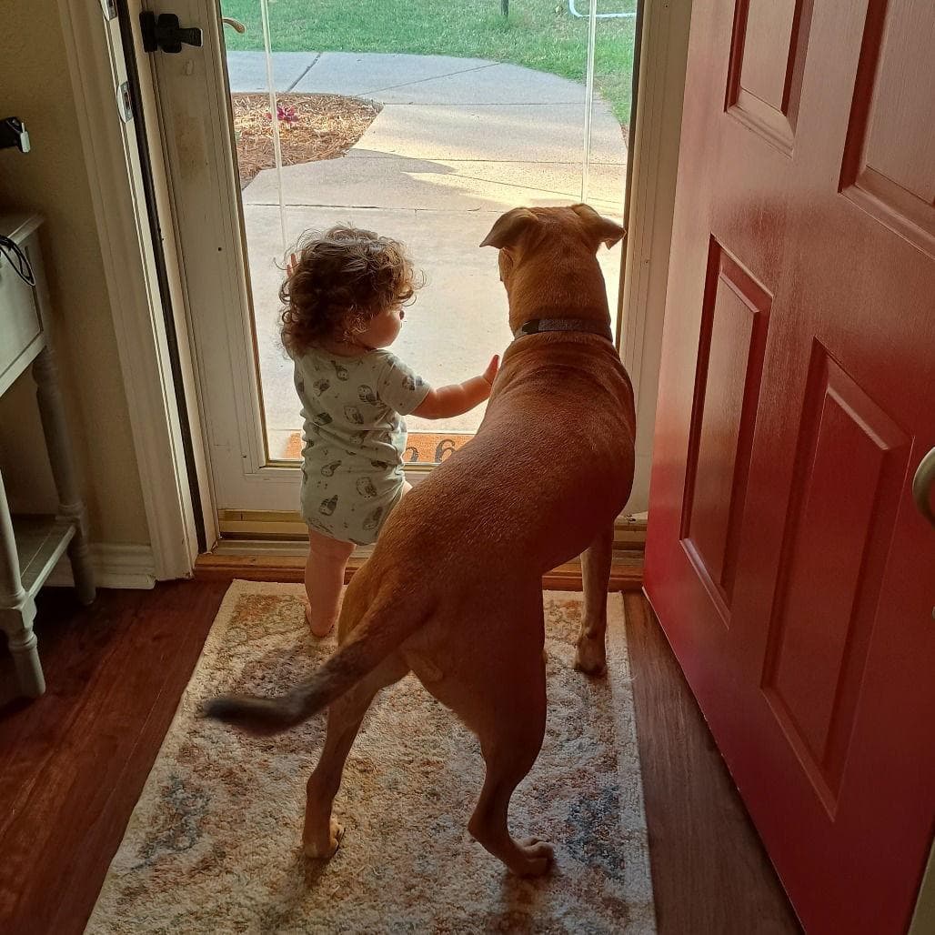 Markus Aurelius (New Digs)