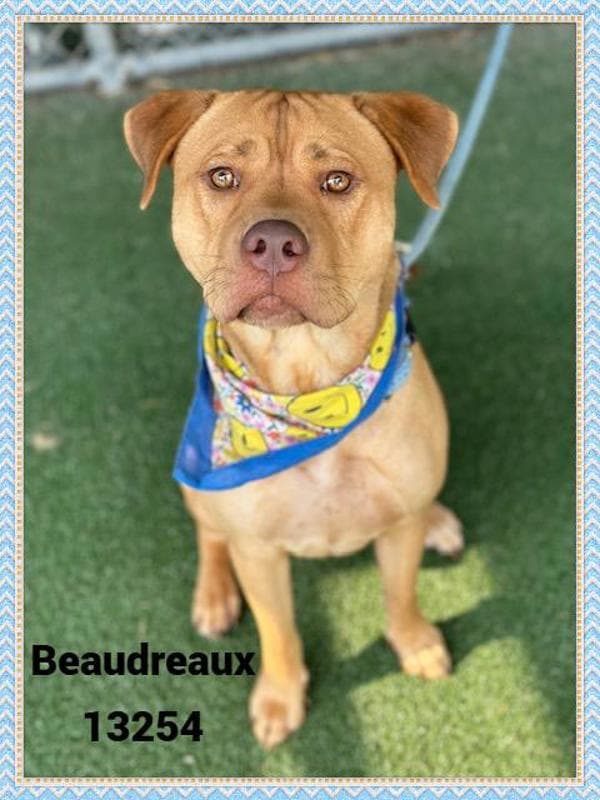 Boudreaux(829)