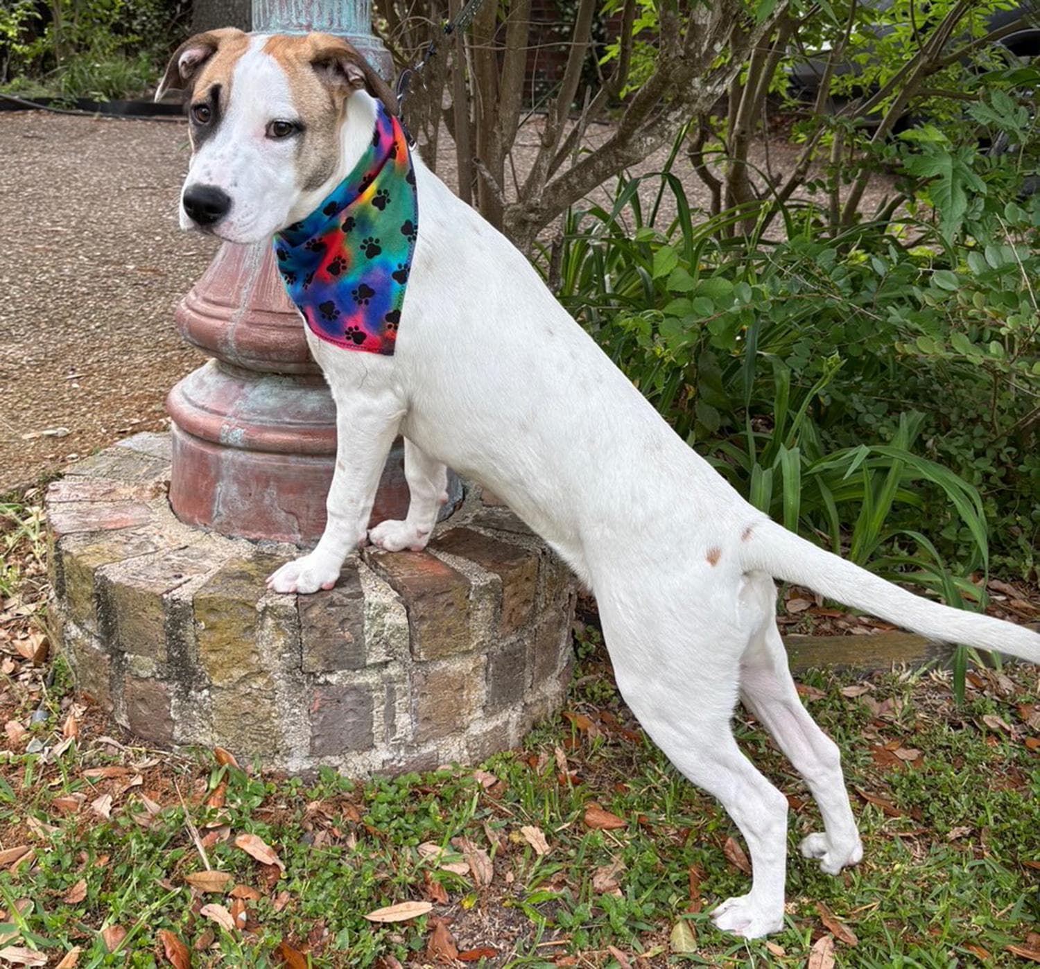 GINNY - SWEET GIRL - SEE VIDEO!