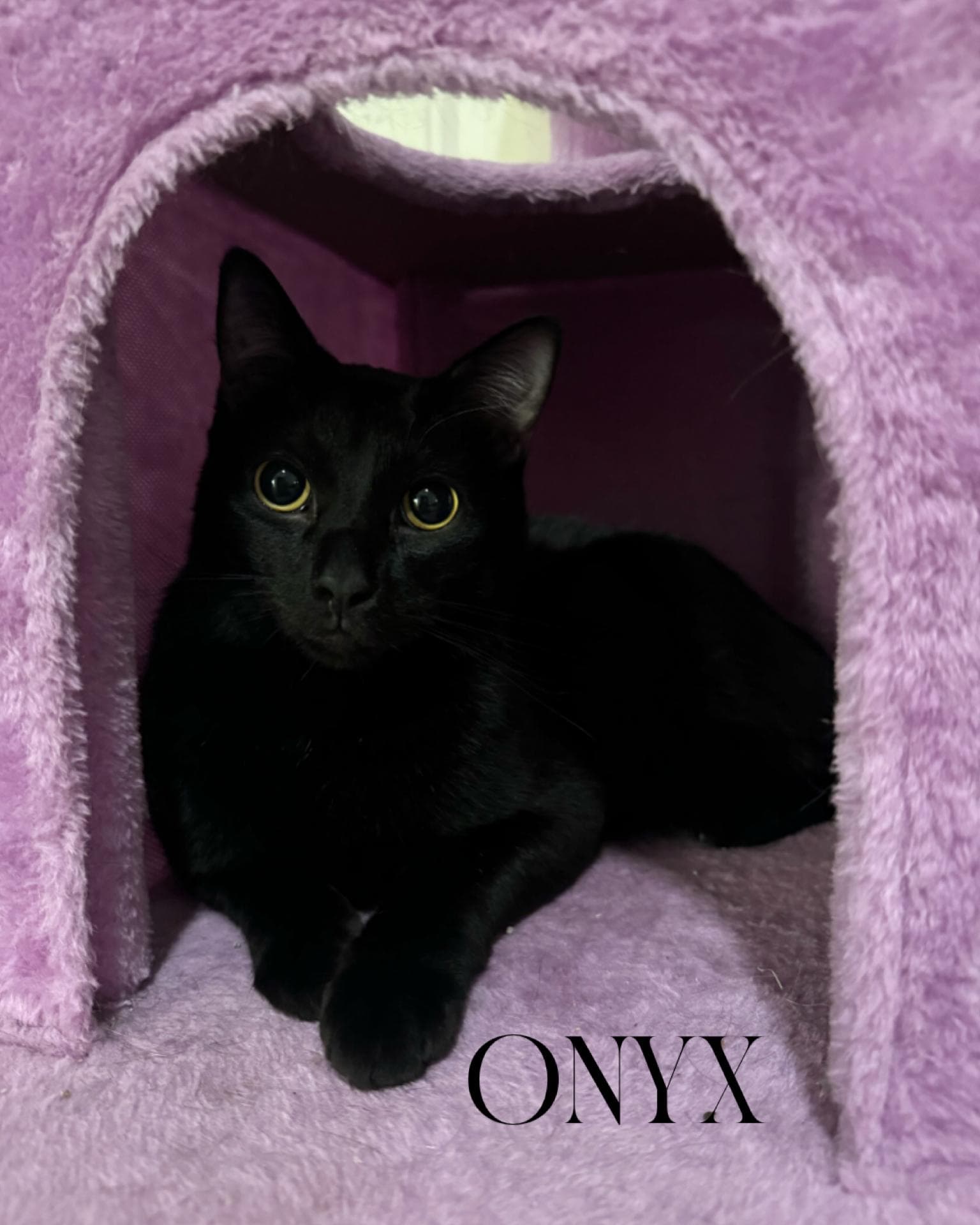 Onyx