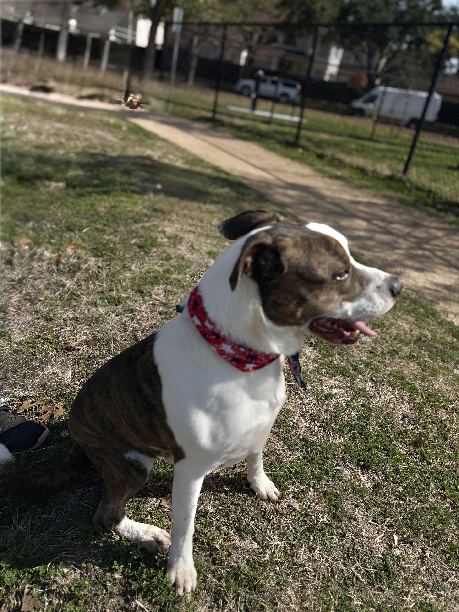 MERRICK- gorgeous boy