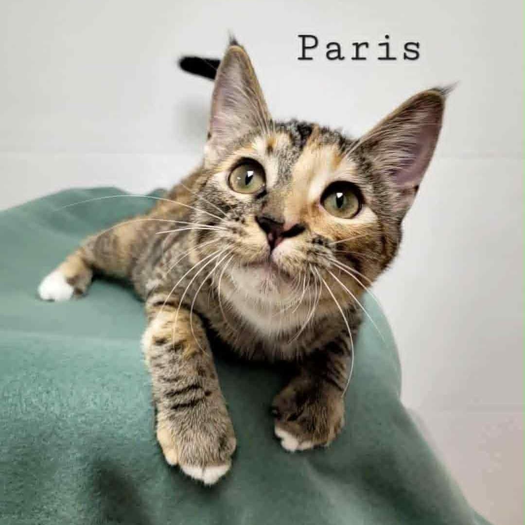 Paris