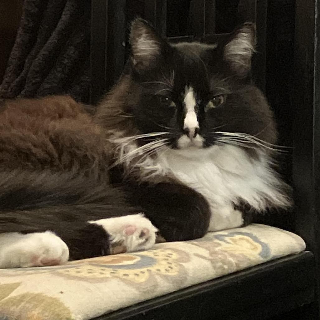 Monty