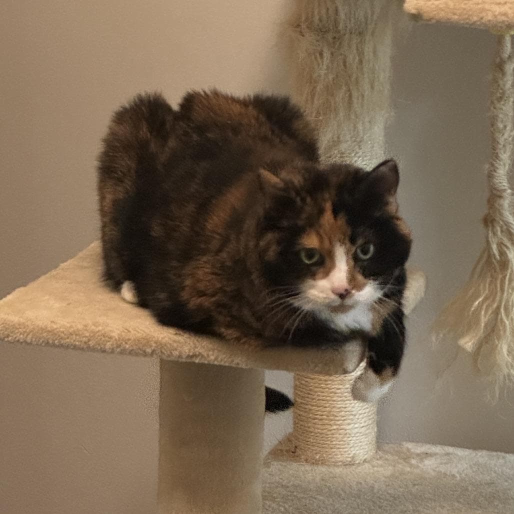 Precious