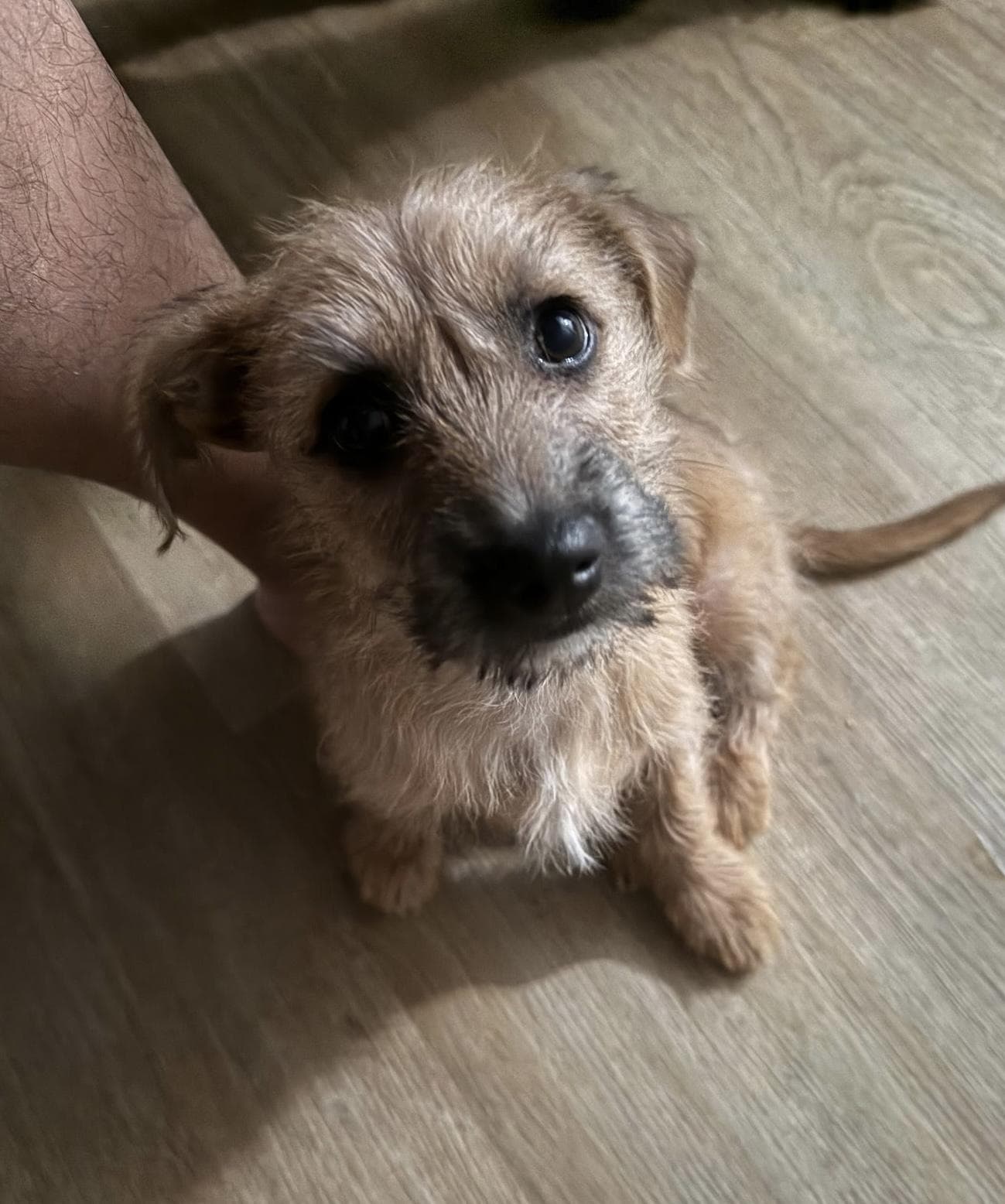 Oscar