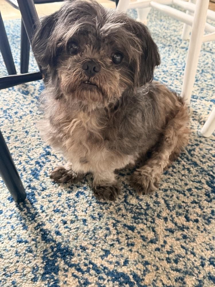 Oscar