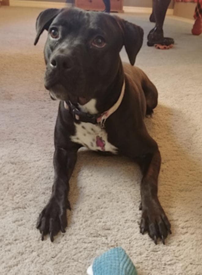 Lola