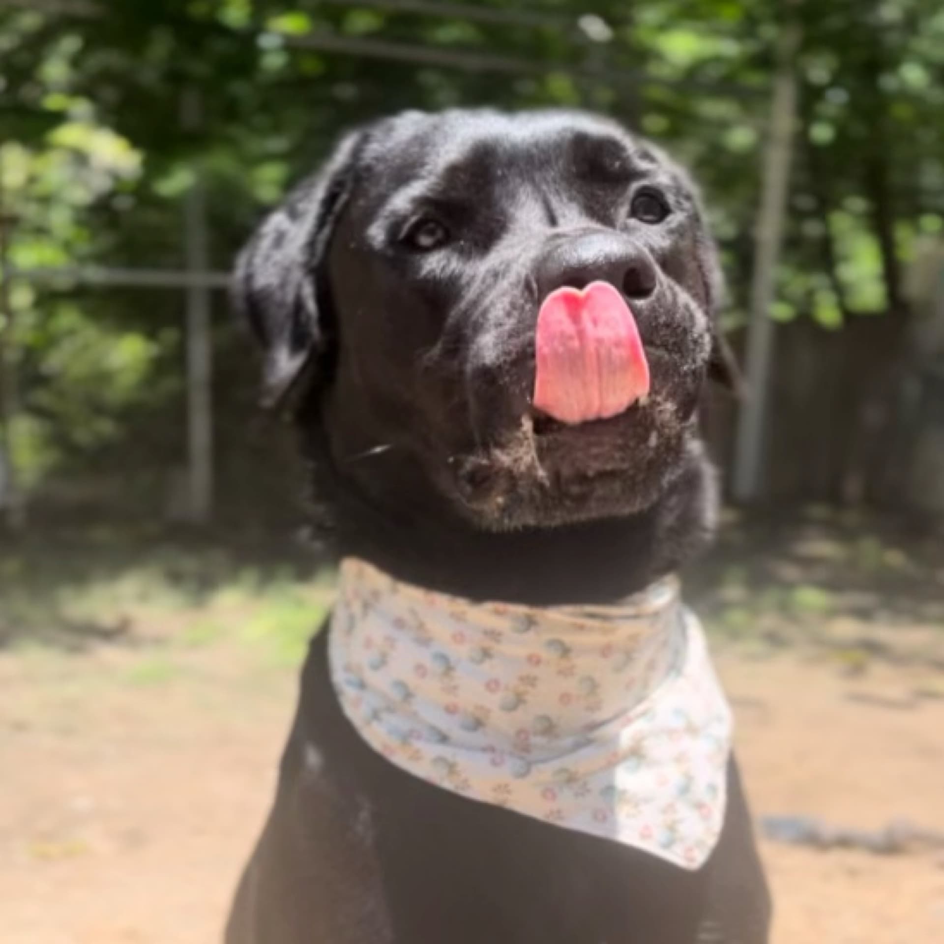 Coda