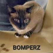 BOMPERZ