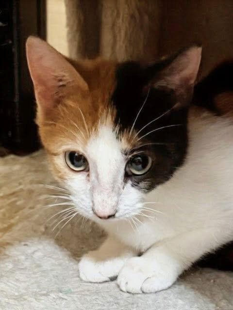 Libby 10.10.25