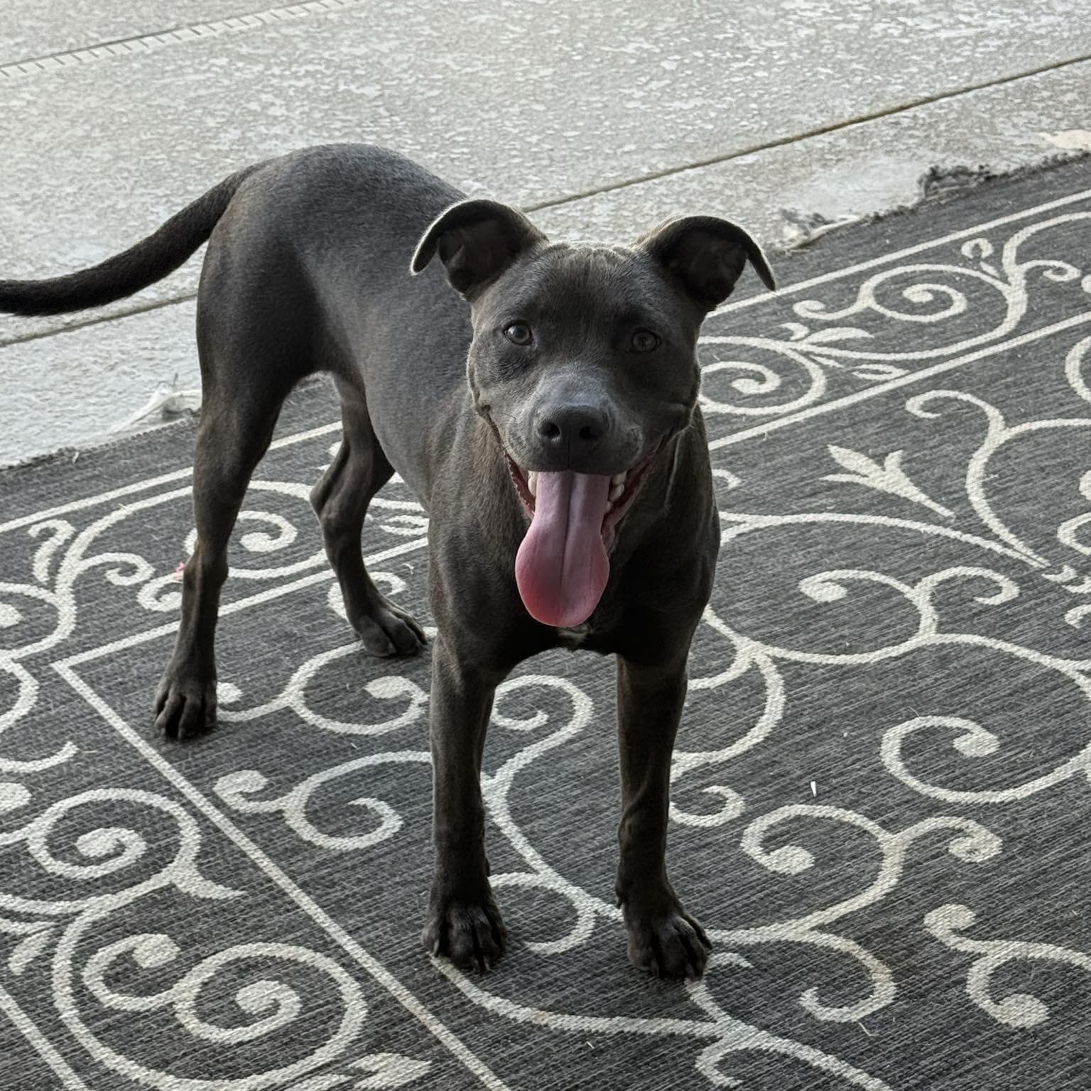 Onyx
