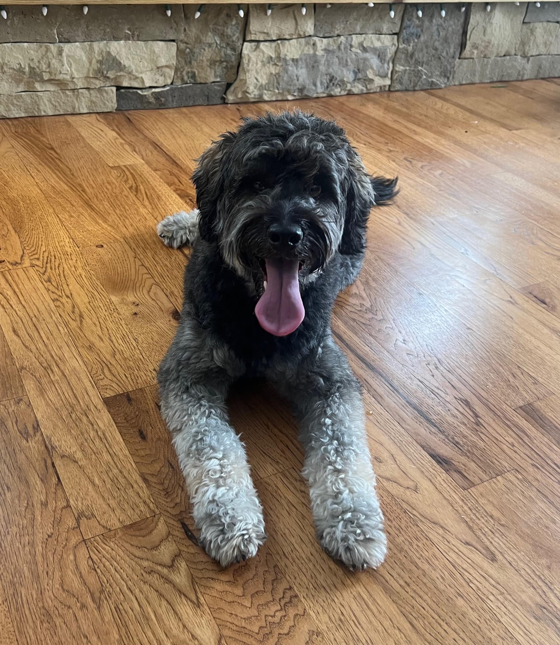 Koda